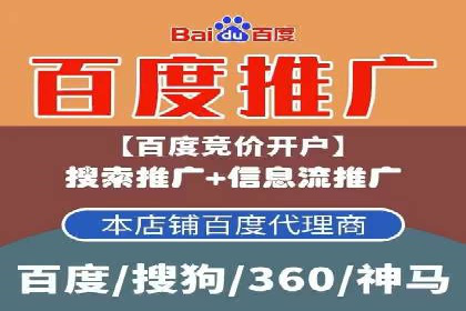 SEM推广优化策略：成功案例解析